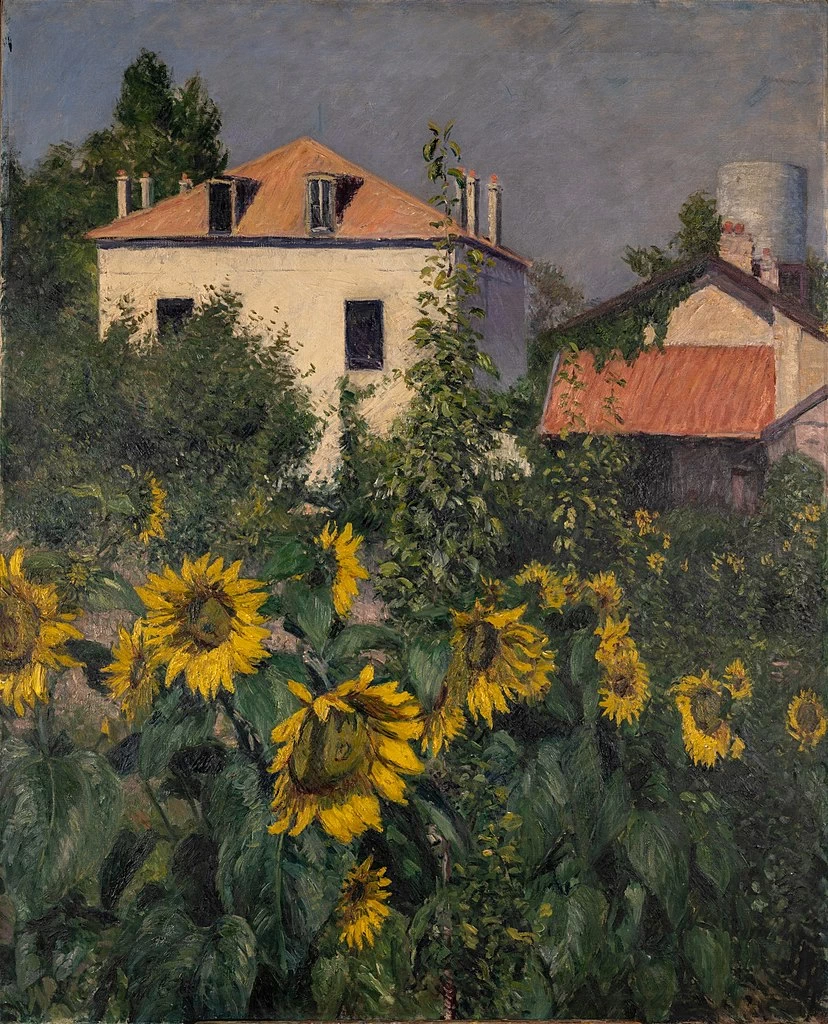 Girasoli, giardino di Petit Gennevilliers G Caillebotte intorno al 1885 - Museo d'Orsay